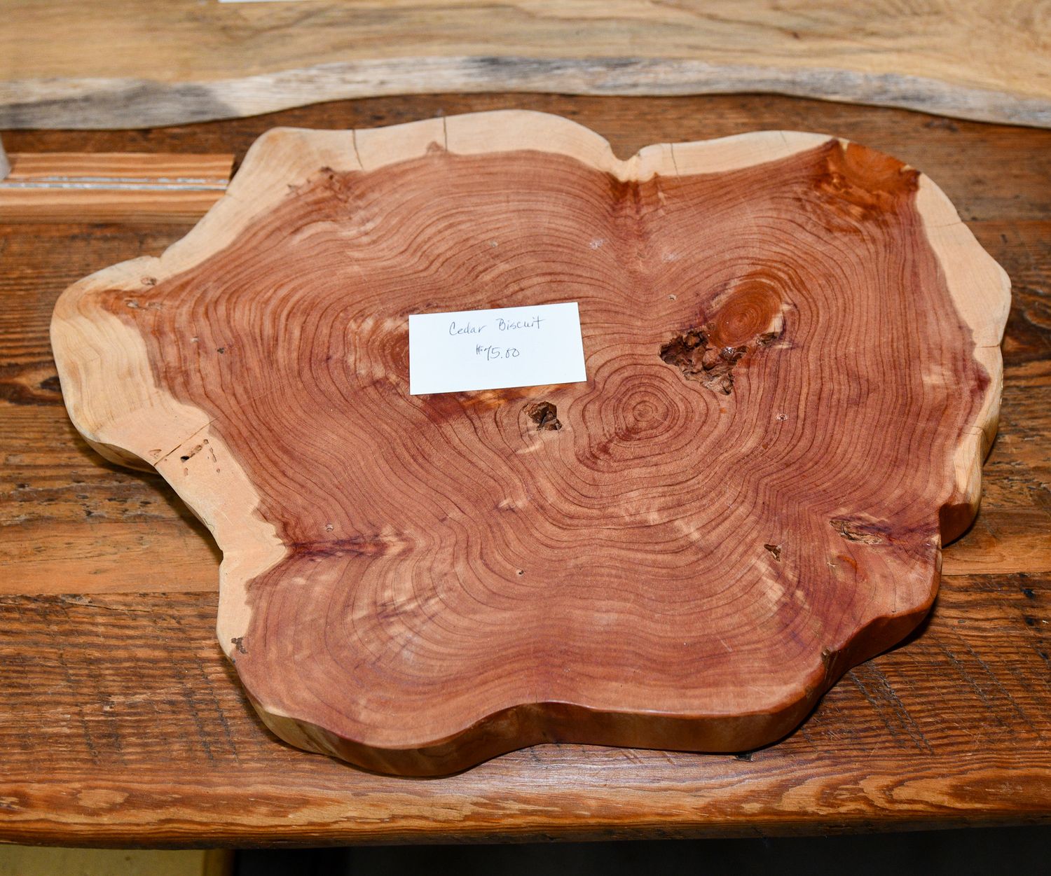 Close-up of a circular wood slab with natural growth rings and live edge detail.