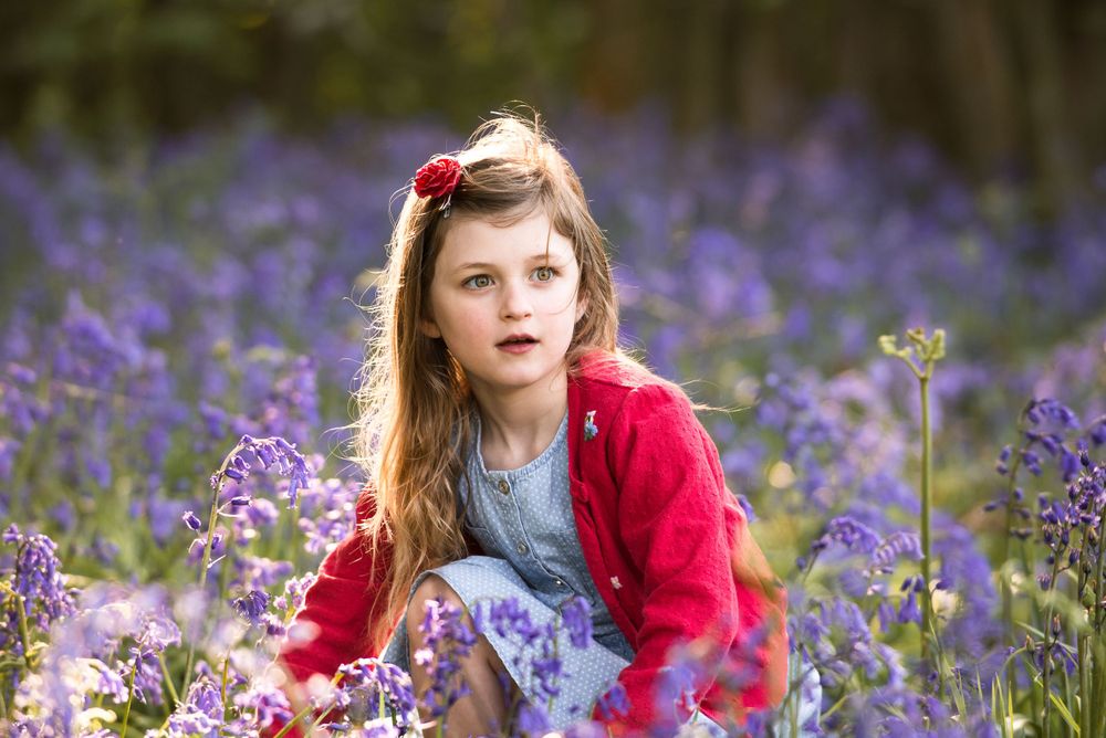 A person in a bright red sweater lies among vibrant purple bluebells in a springtime woodland setting.
