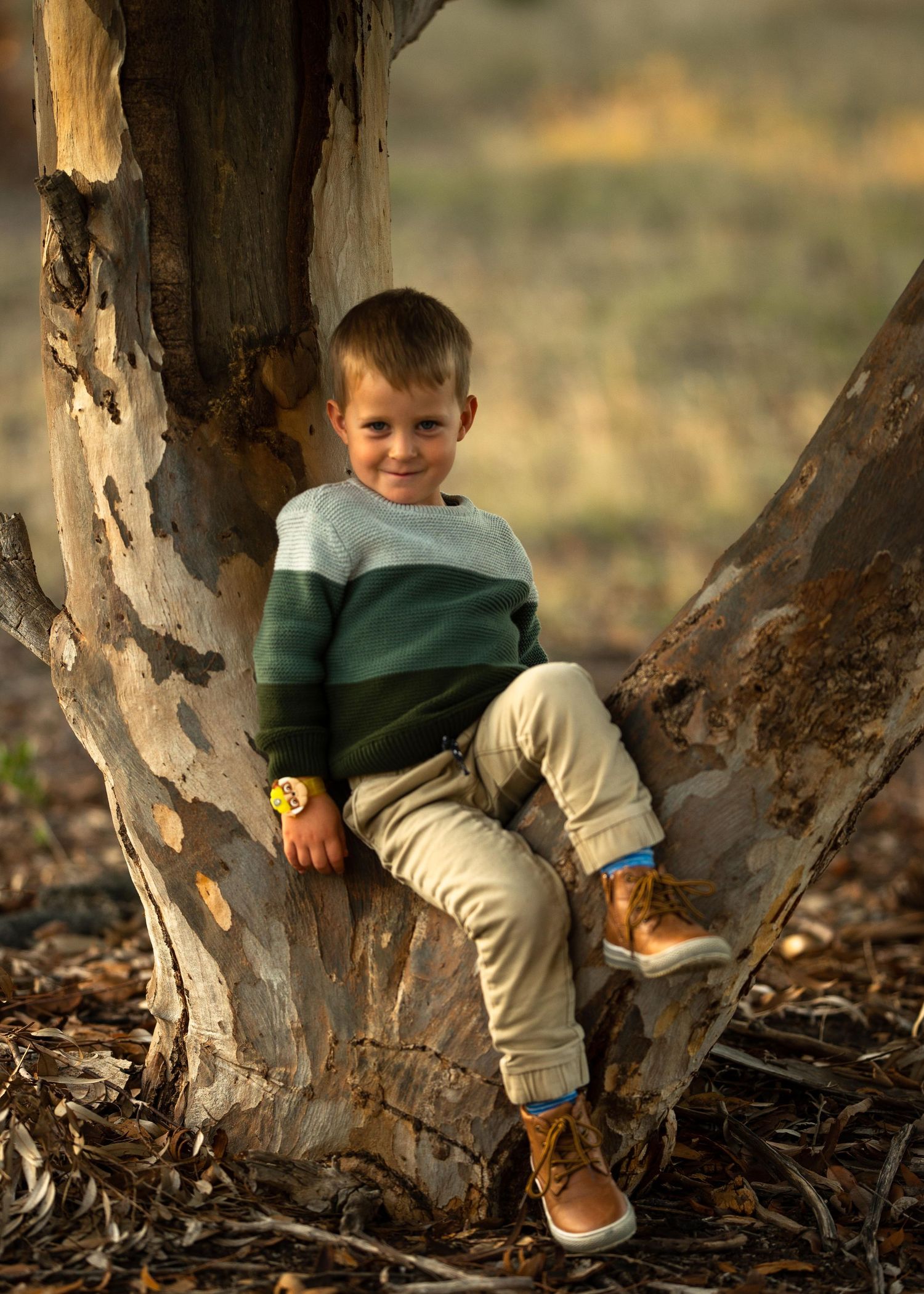 golden hour photos melbourne