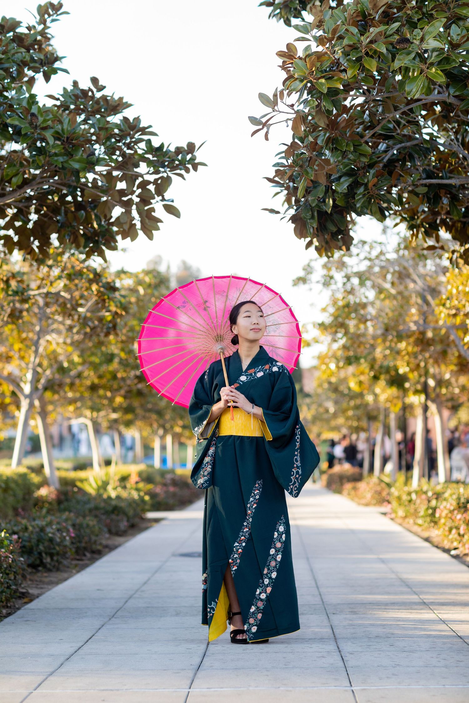 A high school senior in traditional Japanese kimono holds pink parasol while walking along tree-lined path.