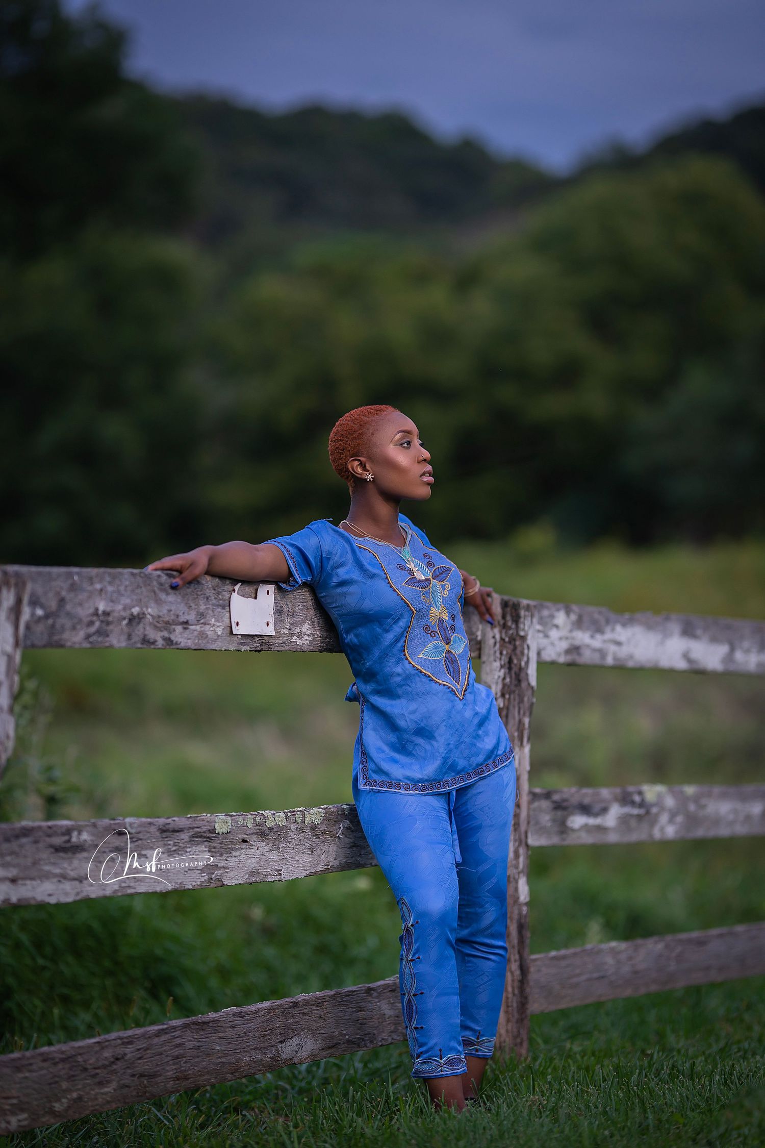 A person in blue jeans and shirt leaning against a rustic wooden fence in a pastoral setting at dusk.