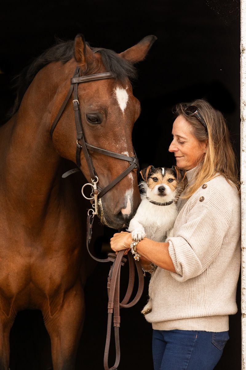 A brown horse with a white blaze on its face stands with a person holding a small dog in a cream sweater.