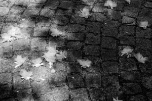 професионален фотограф софия, сватбен фотограф софия, сватбен фотограф българия