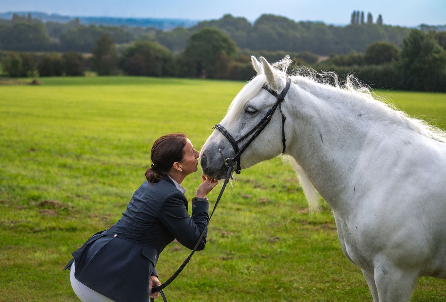 A beautiful white horse receives affection in a scenic hilltop pasture.