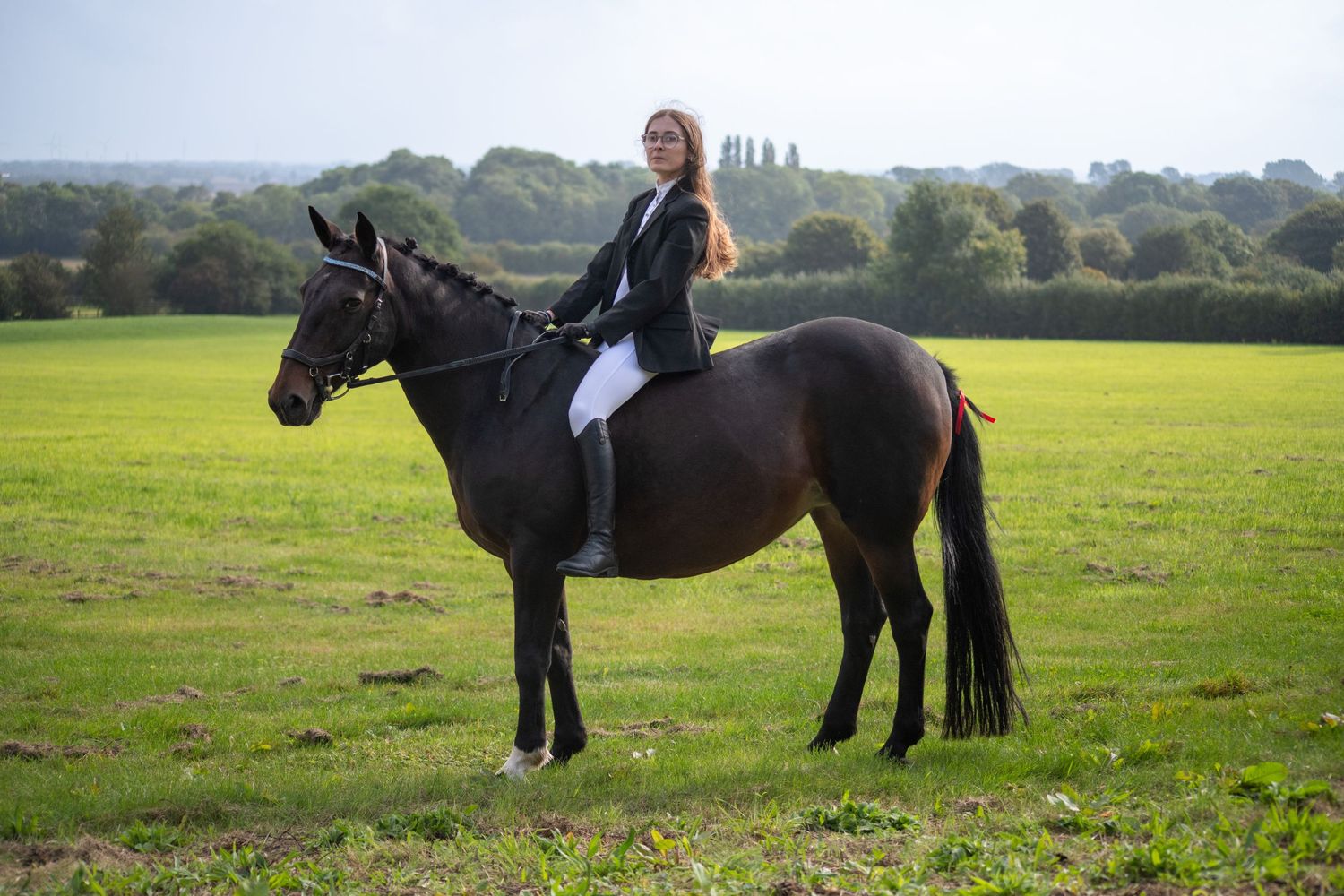 Dark horse and rider in dressage attire stand in green field during training session.