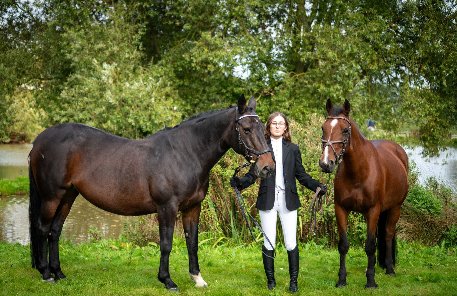 Two horses stand in a grassy field with their handler on a sunny autumn day.