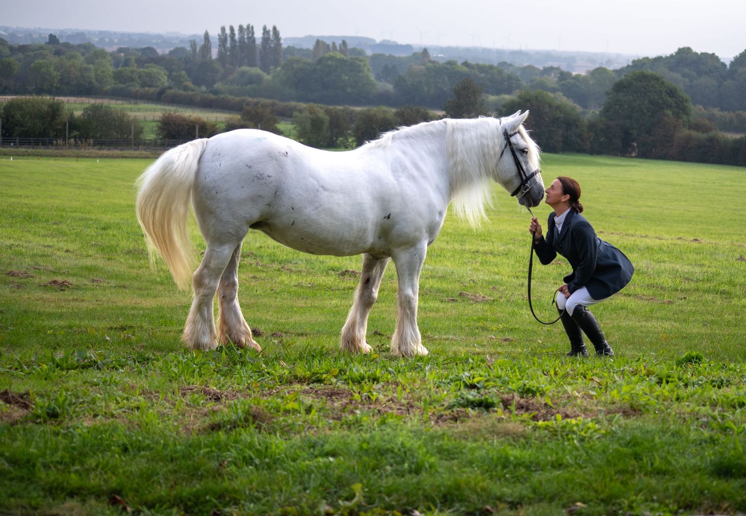 A striking white horse interacts playfully in a grassy field.