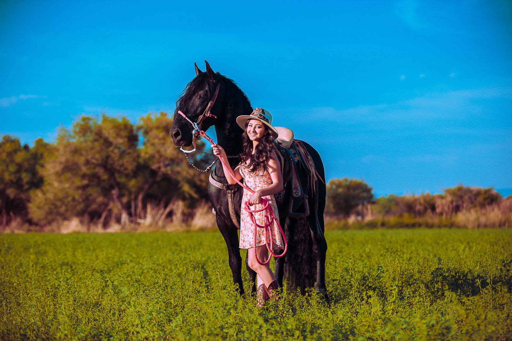 A horse and rider stand together in a sunlit green field against a bright blue sky.
