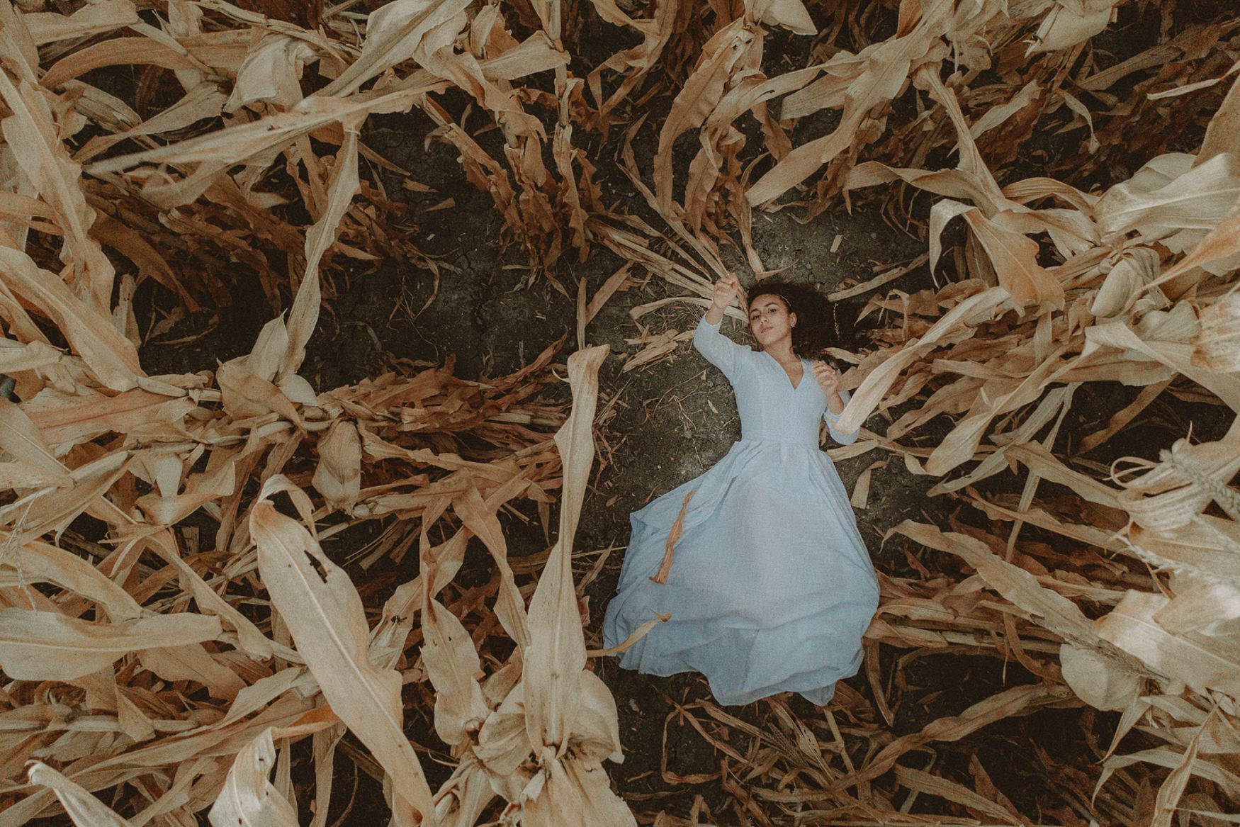 A person in a light blue dress lies artistically posed among dried corn husks and stalks.