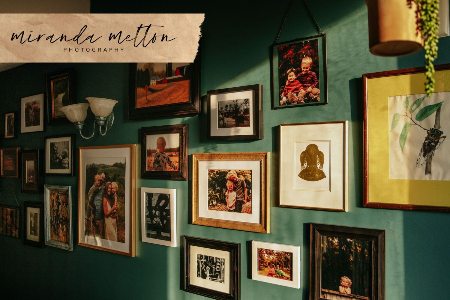 Gallery wall of professional family photography prints and other art for blog post instructing on how to hang a gallery wall