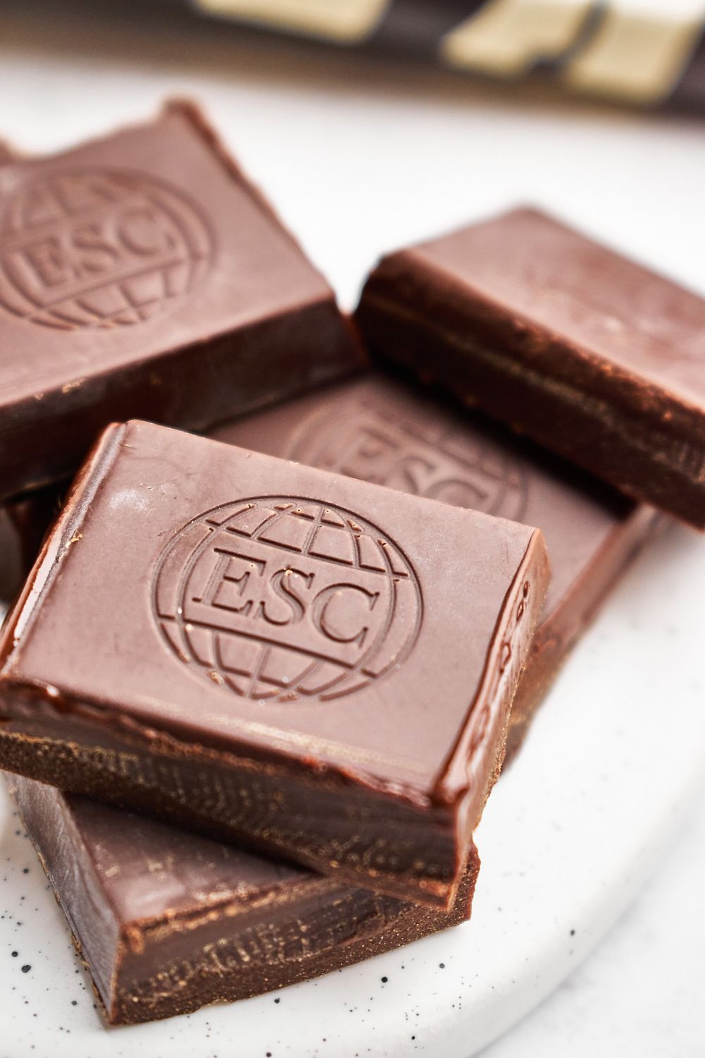 Endangered Species Oatmilk Chocolate Close up