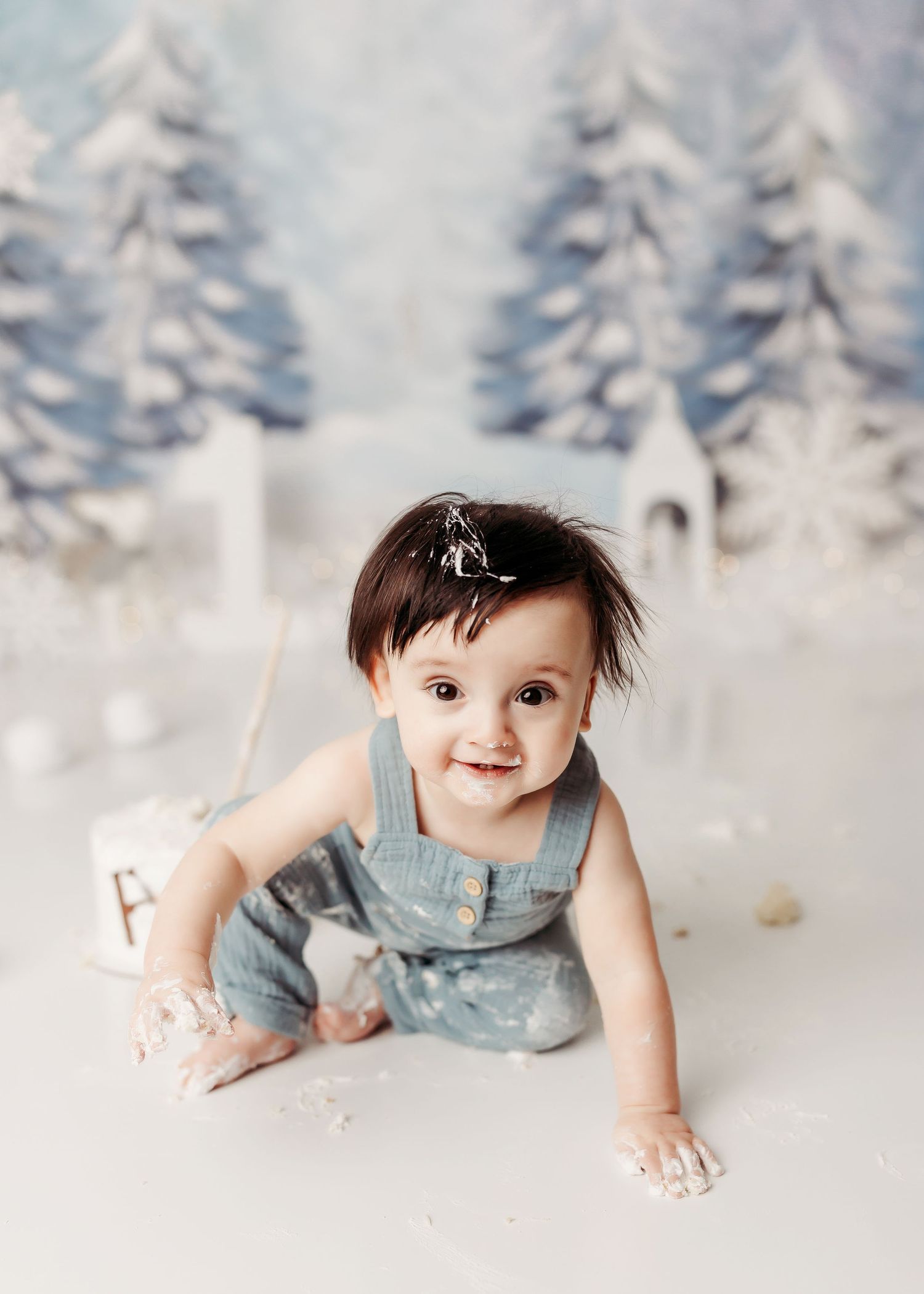 Tulsa cake smash photographer baby boy winter wonderland theme cake smash