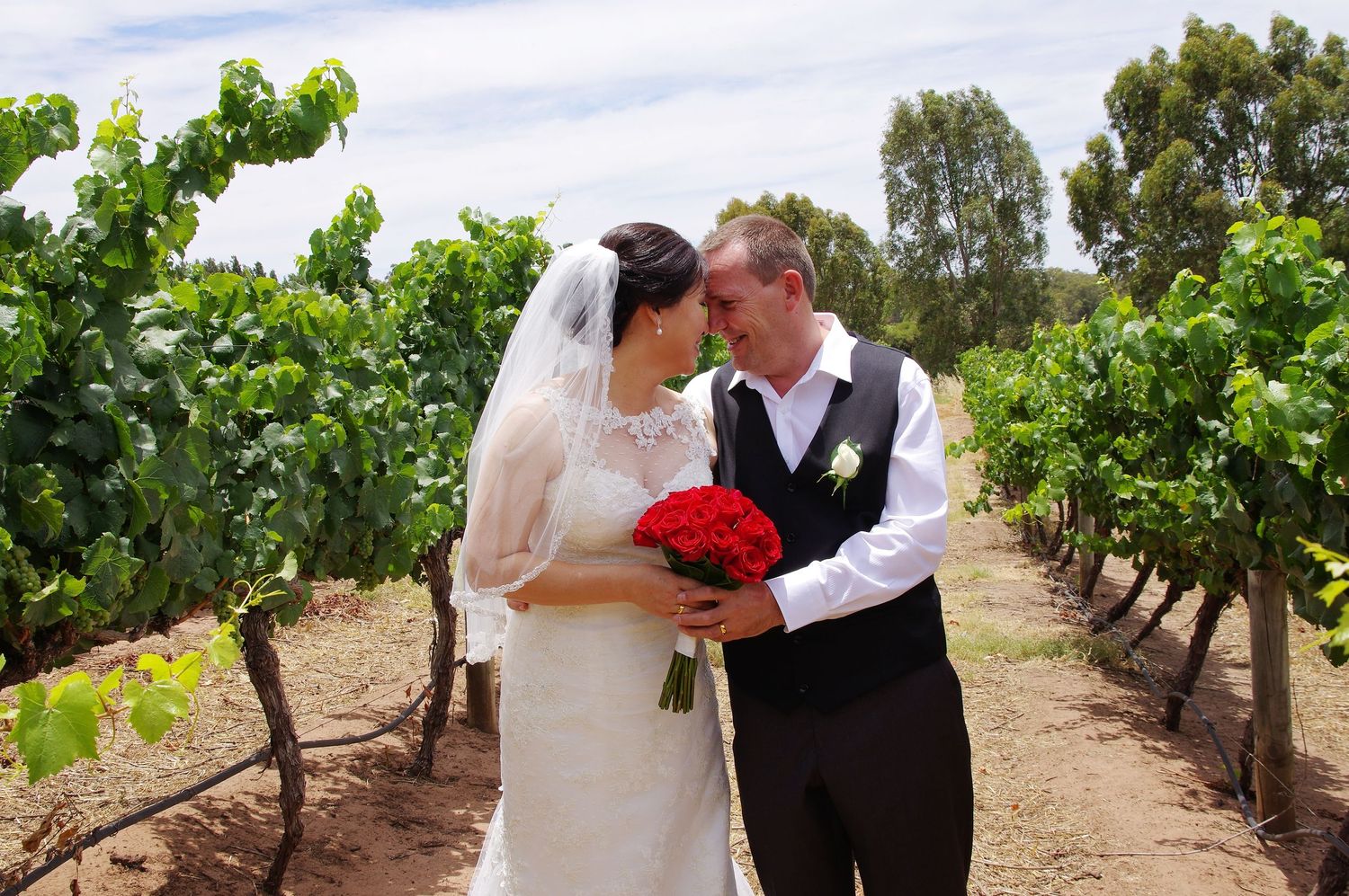bride and groom embracing in wineyards swan valley