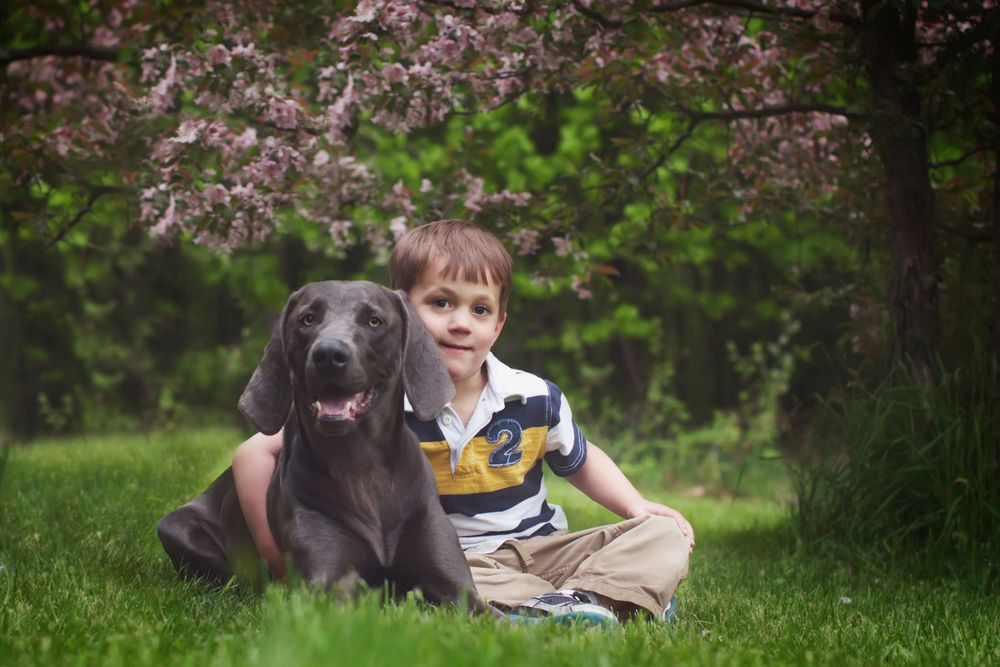 Duluth Superior family photographer, Photography, Wisconsin family Photographer, Best Wisconsin family photographer, Fam