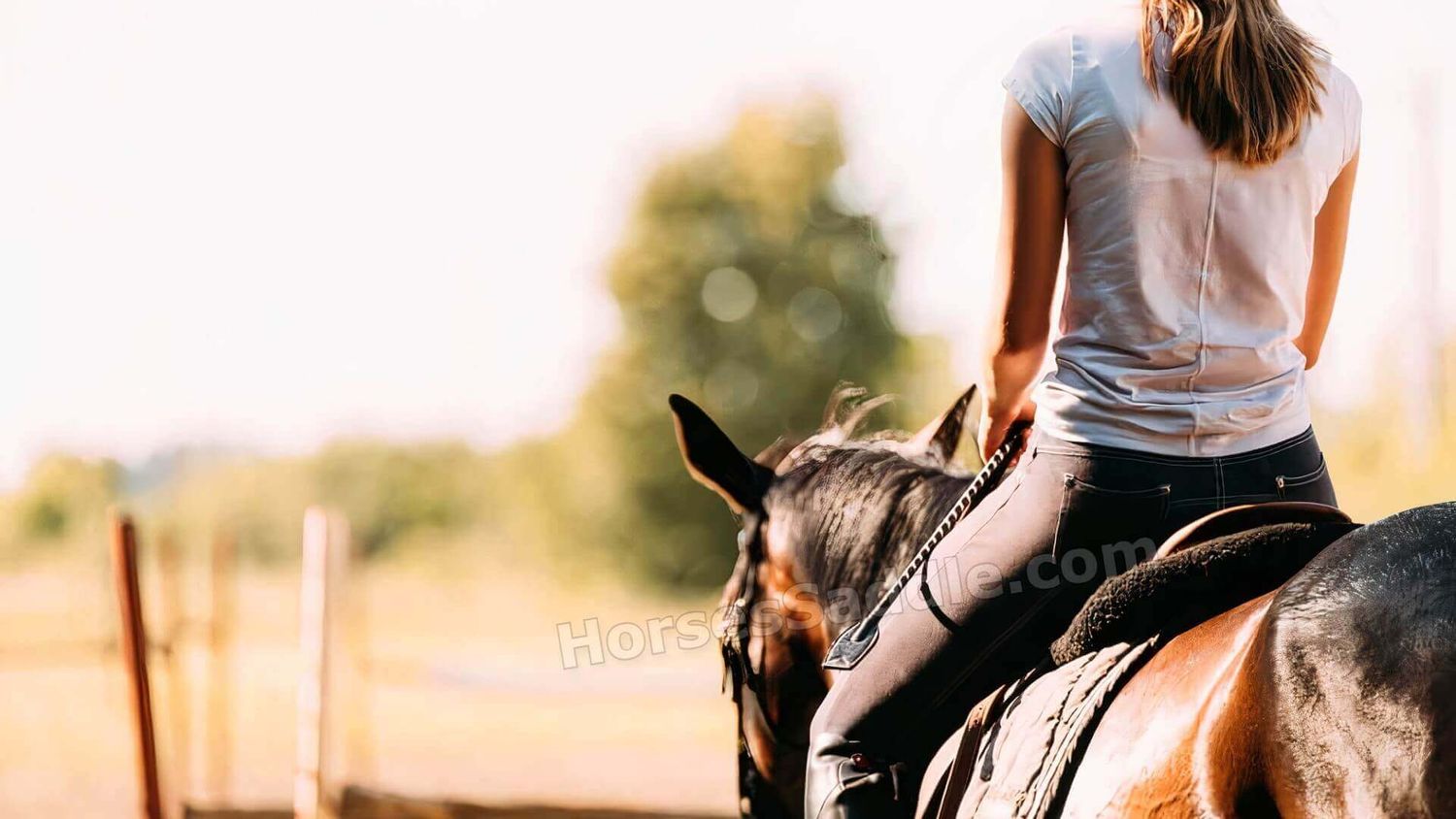 Western Saddle for Sale