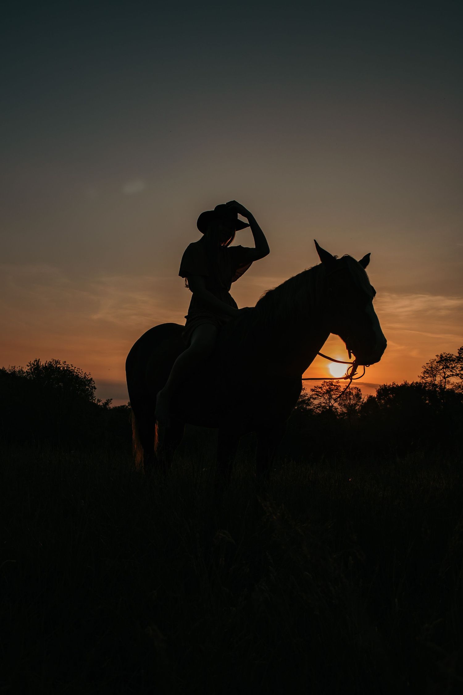Dramatic silhouette of a horse rider against a vibrant sunset sky.