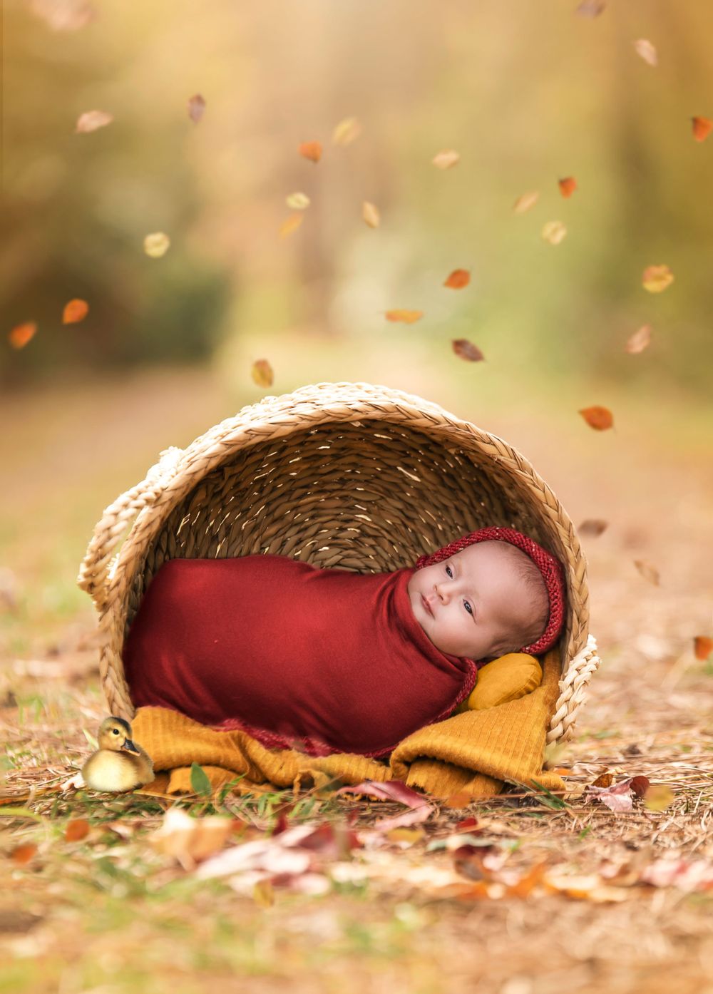 Citrus County, Fl newborn photographer