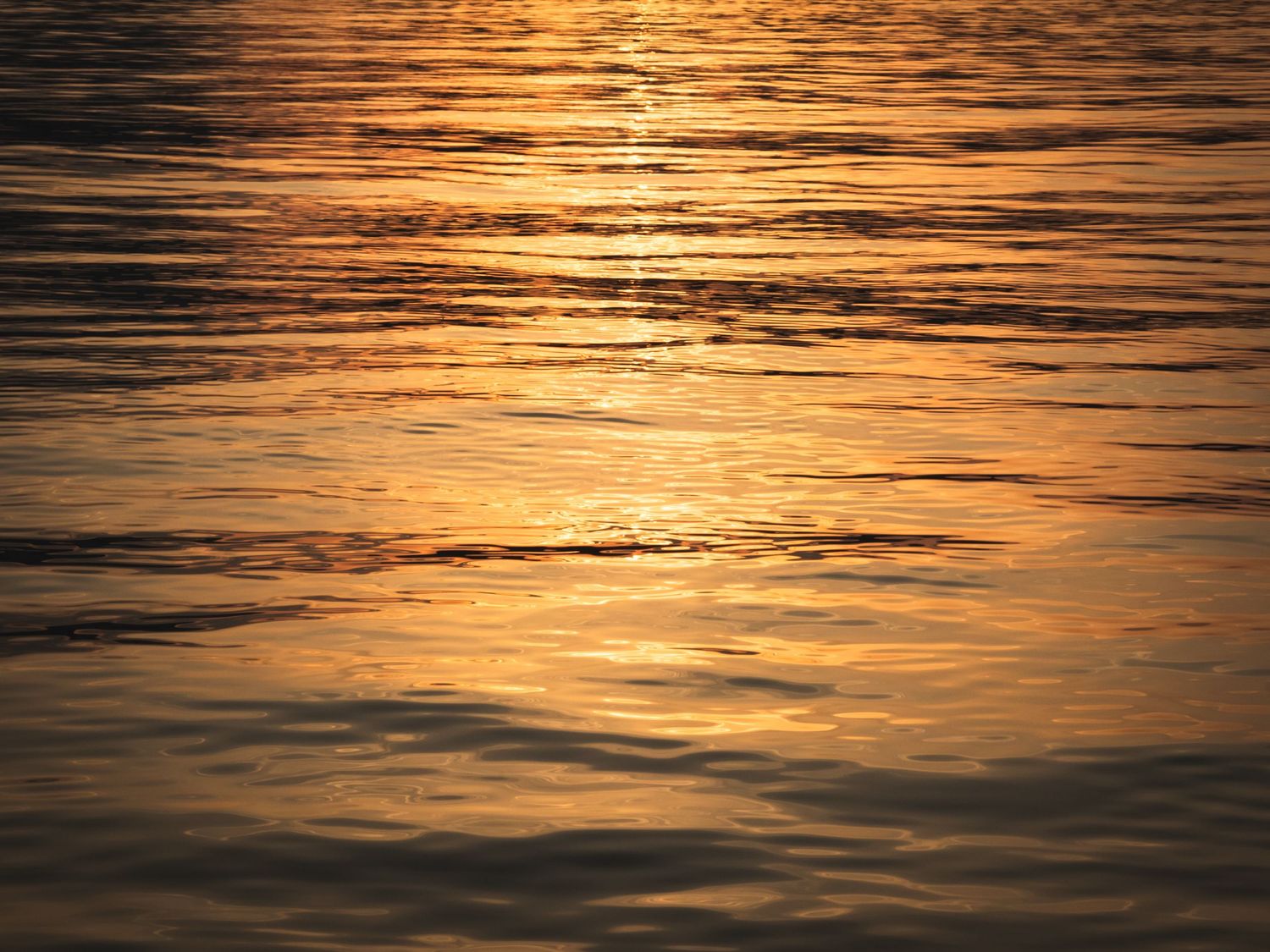 sunset on sea eastbourne