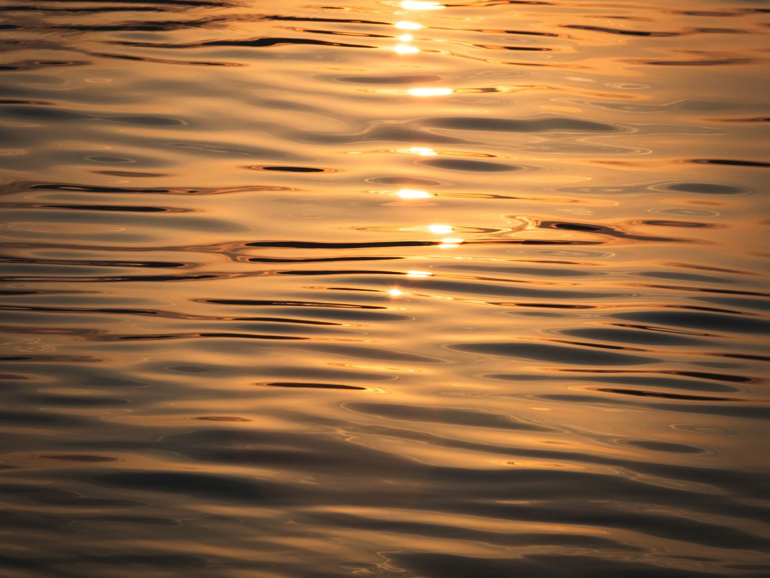 sunset on sea eastbourne