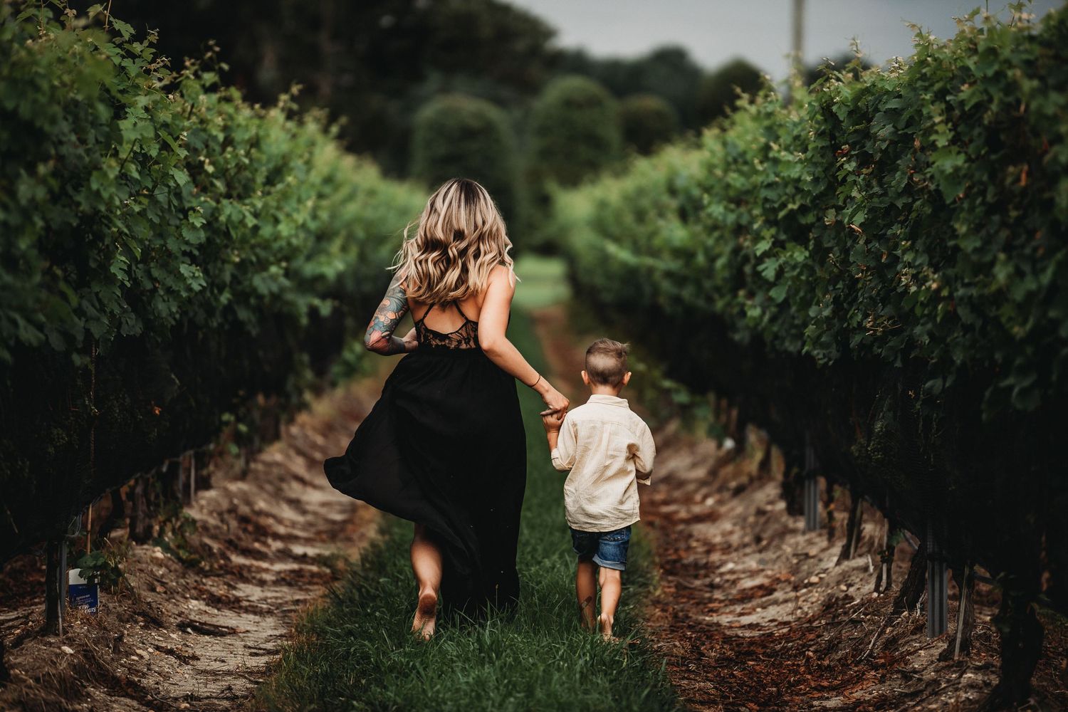 Running through vineyard rows on a sunny day amongst green grapevines.