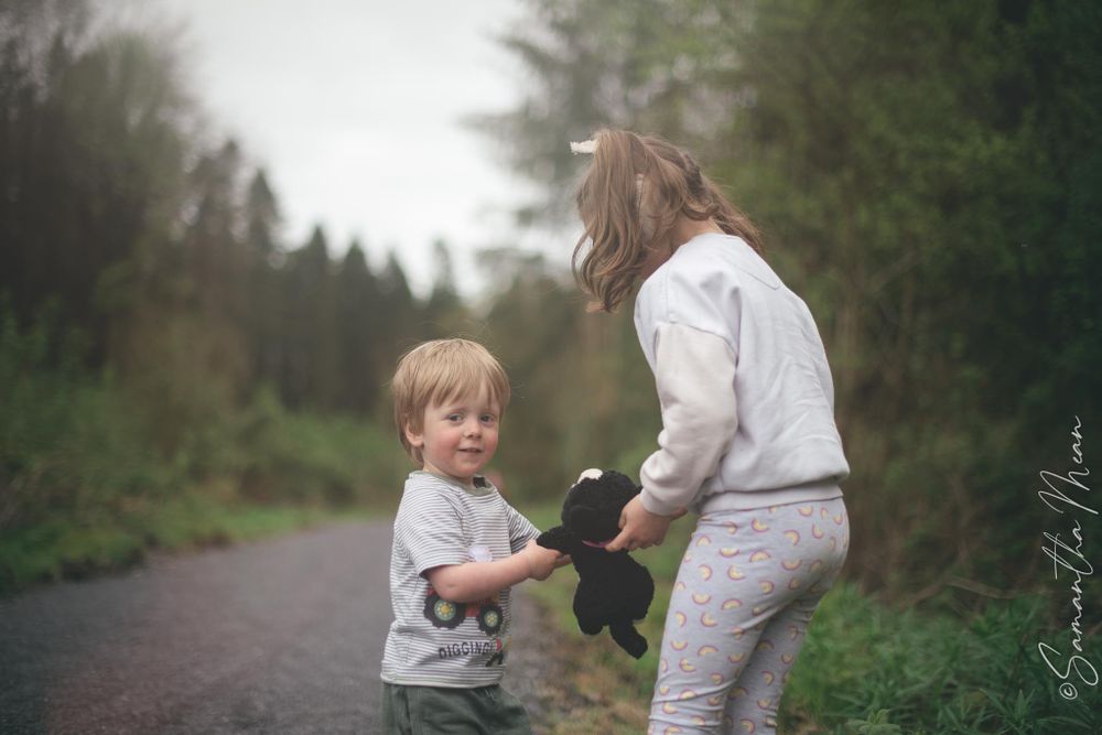 Derrycassin Woods Longford