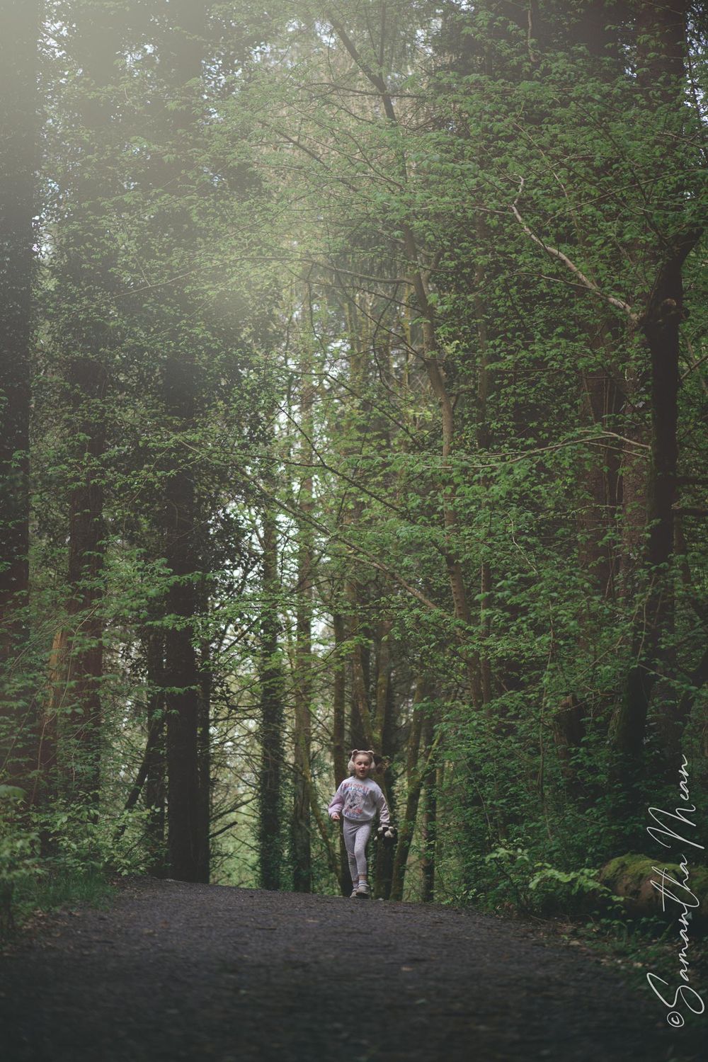Derrycassin Woods Longford