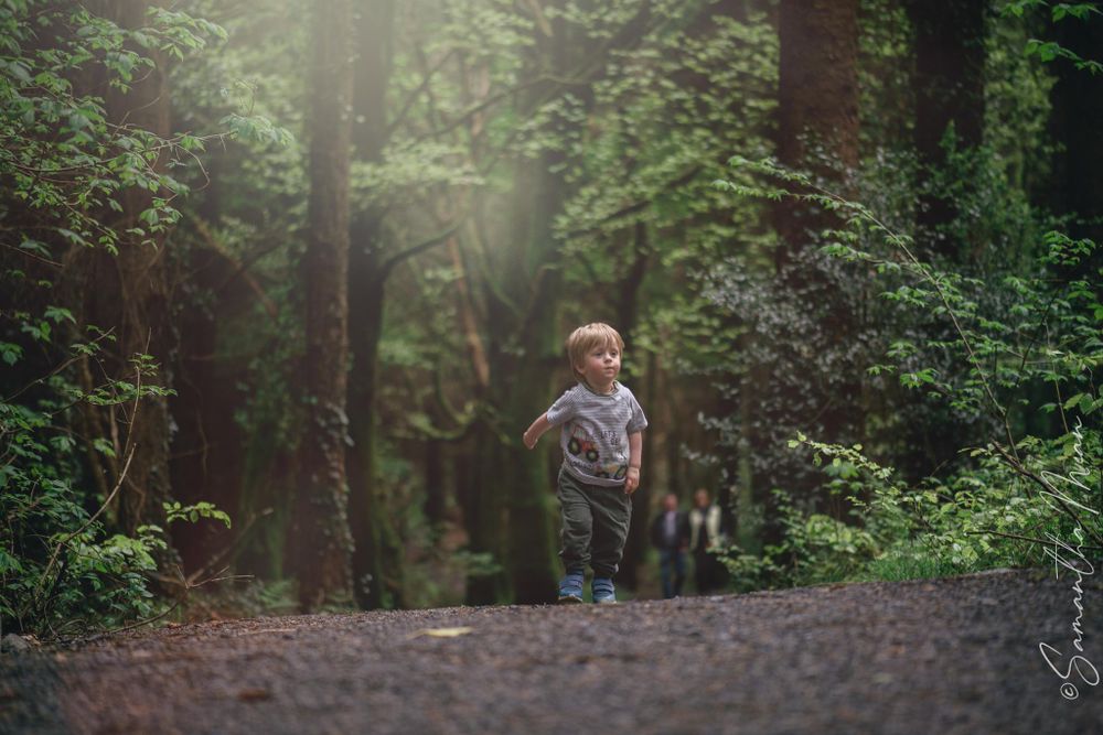 Derrycassin Woods Longford