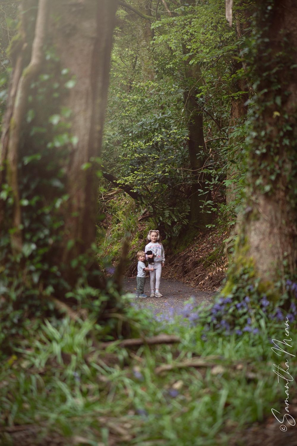 Derrycassin Woods Longford