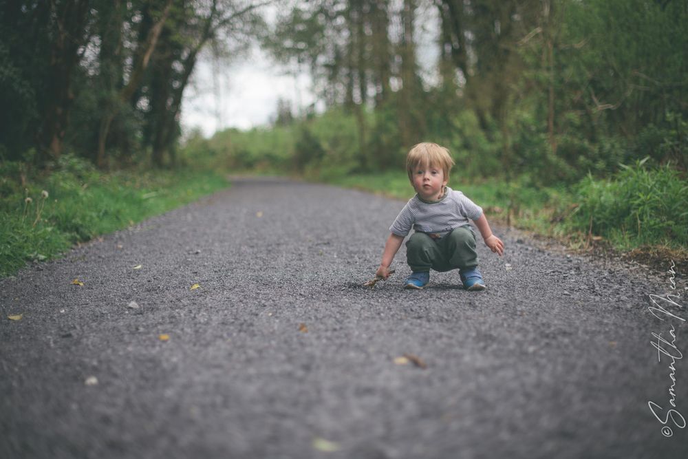 Derrycassin Woods Longford