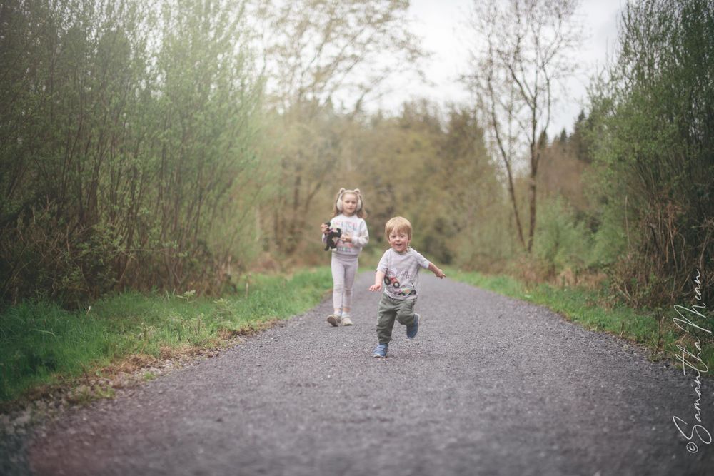 Derrycassin Woods Longford