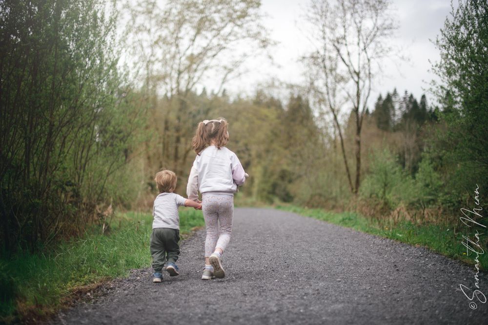 Derrycassin Woods Longford