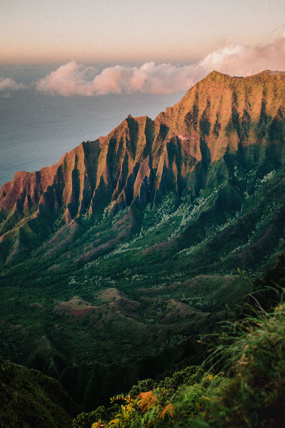 Sunset illuminates the majestic Kalalau Valley cliffs in Kauai with pink clouds.