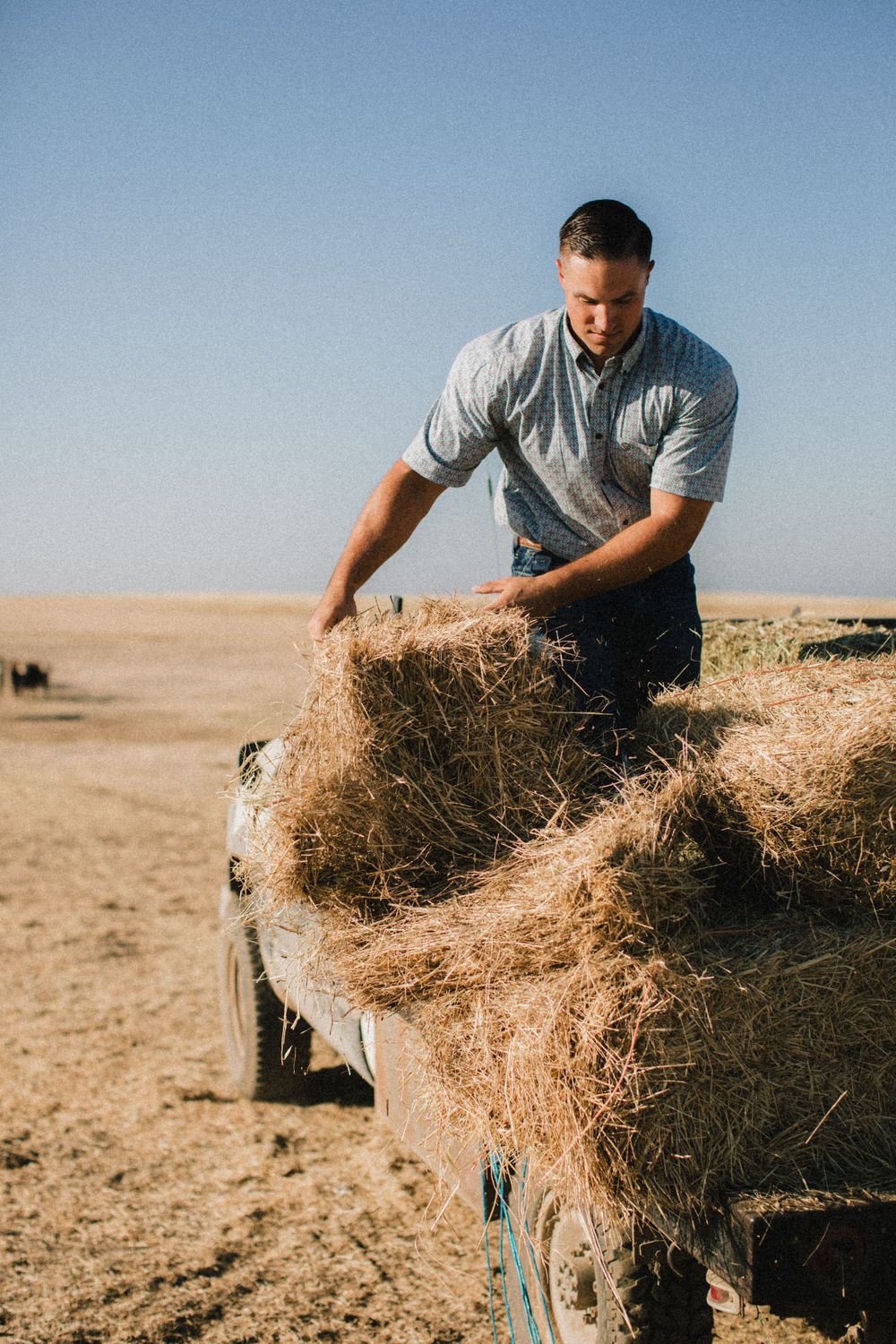 Person loading hay bales onto trailer in dusty rural setting during golden hour.