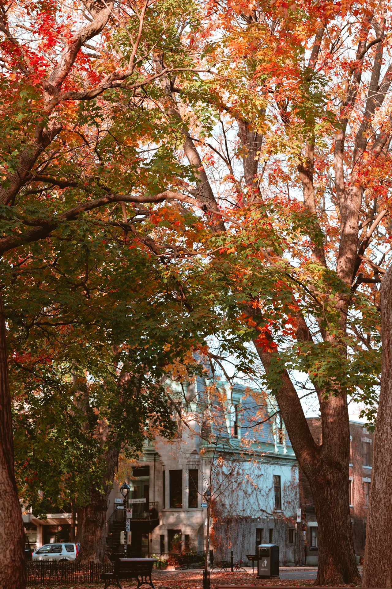 Parc du square Saint-Louis à Montréal en automne
