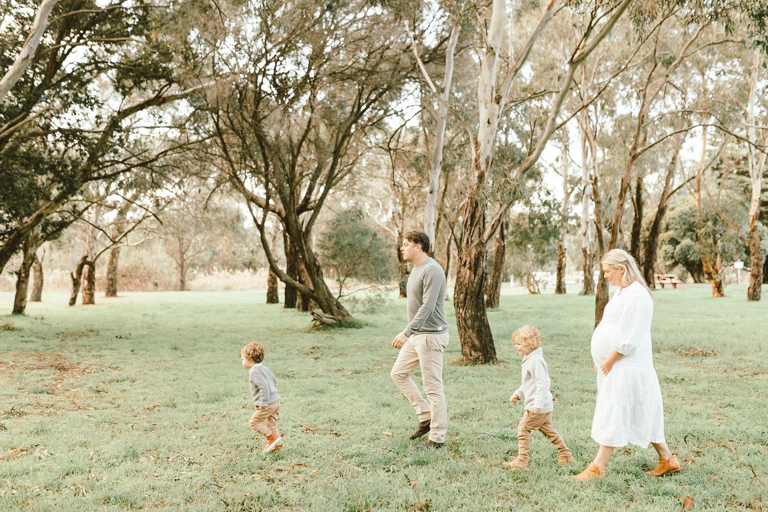 Family walking together through a scenic grove of trees during golden hour.