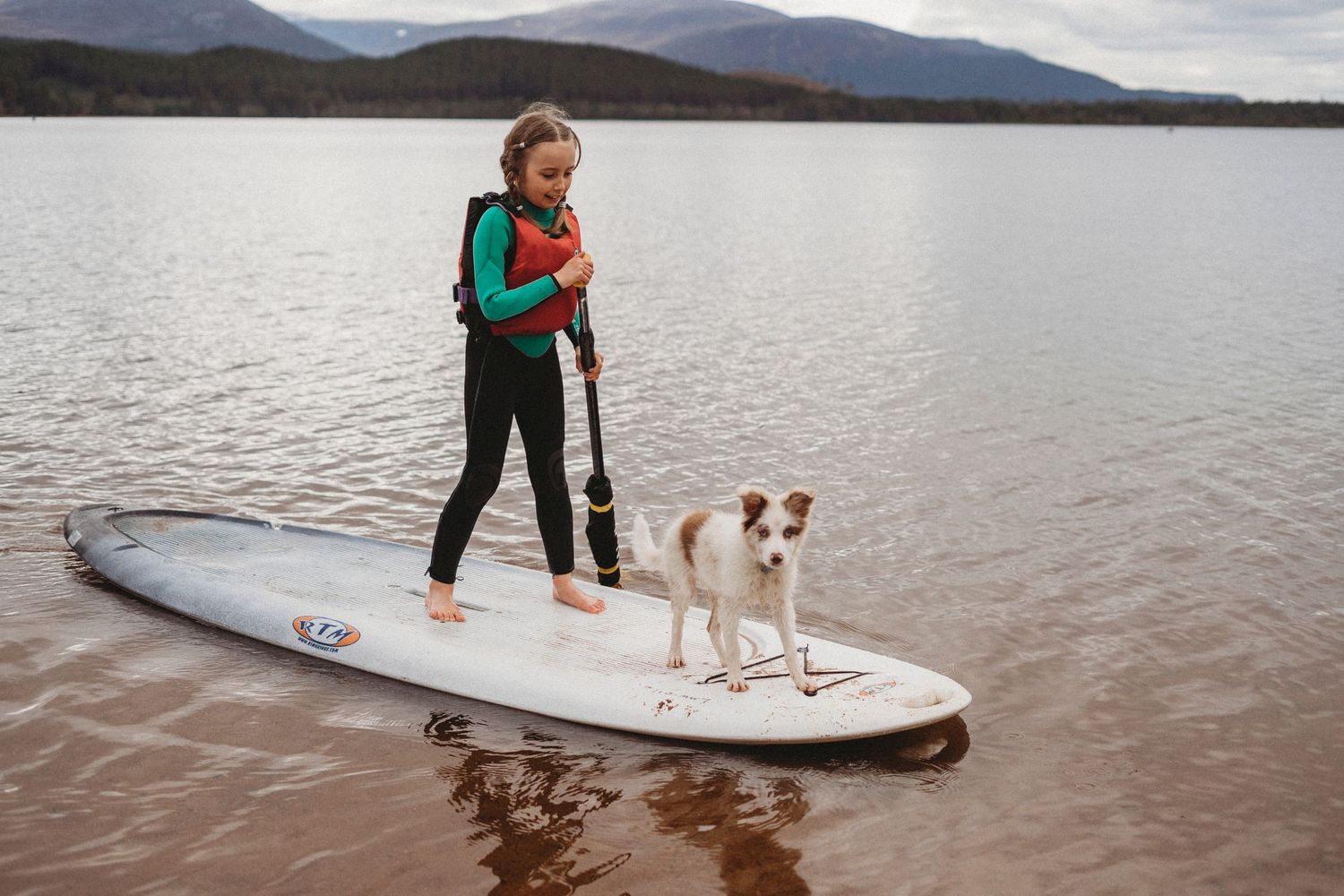 Person paddleboarding with a small dog on a mountain lake.