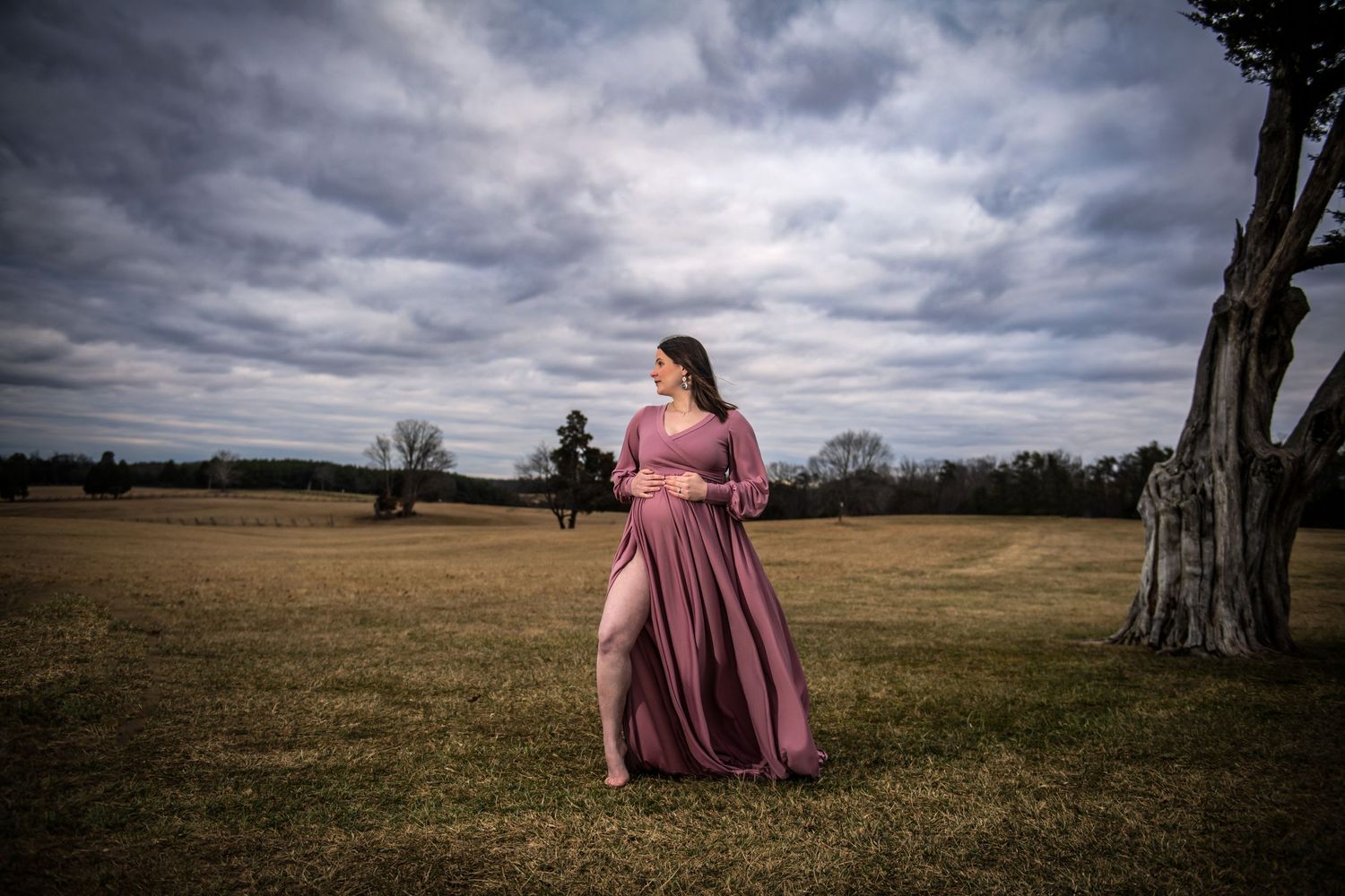 Woman in flowing mauve dress poses in open field under dramatic cloudy sky.