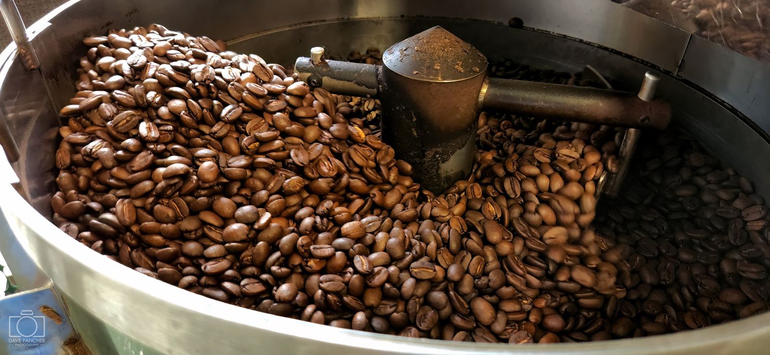 Freshly roasted coffee beans being cooled