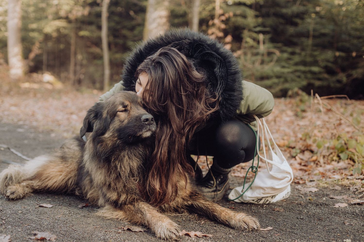Séance photo chien en Auvergne Rhône-Alpes, en pleine nature, complicité entre le chien et son maître.
