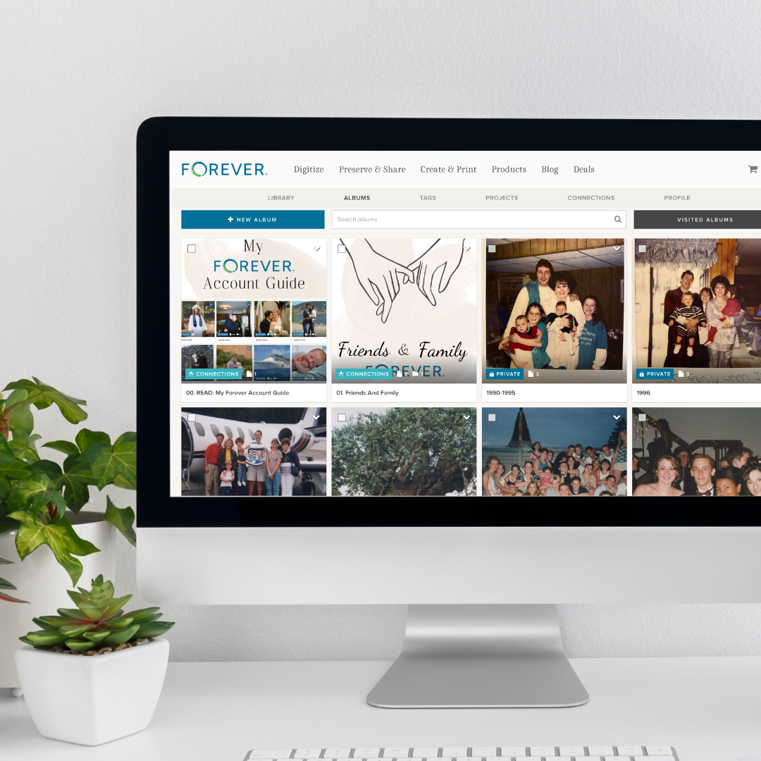 An organized digital photo collection using Forever software