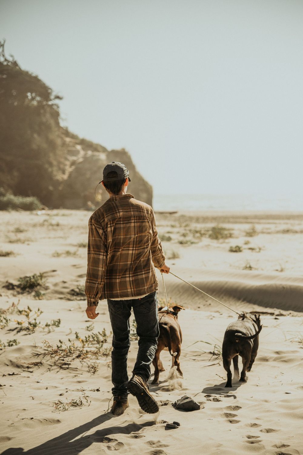 Person in plaid shirt walking two dogs along a scenic beach at sunset.