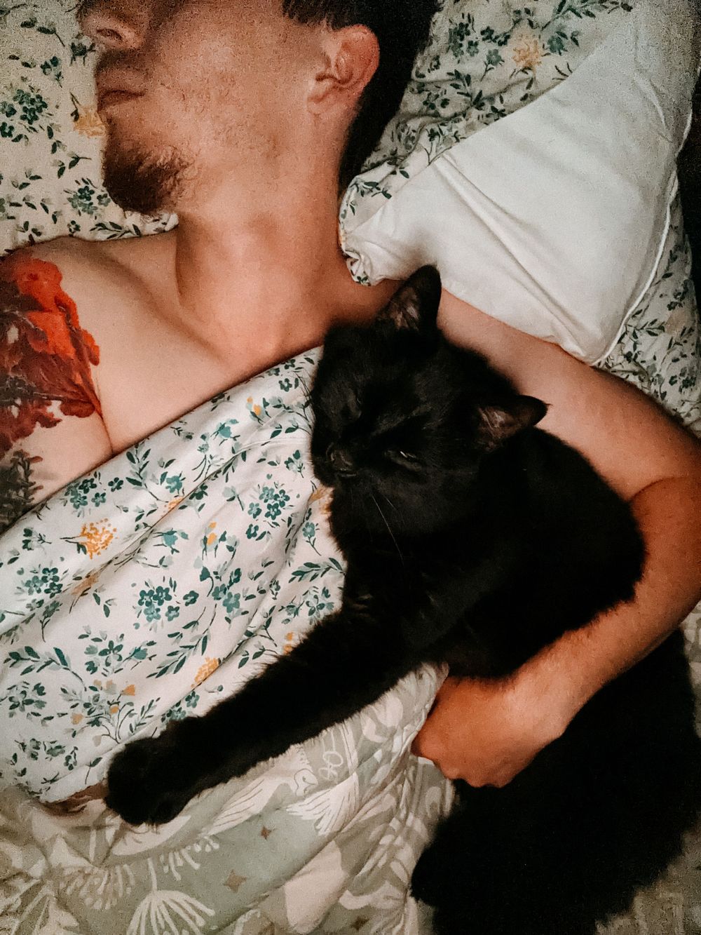 Person cuddling with a black cat on floral bedding.