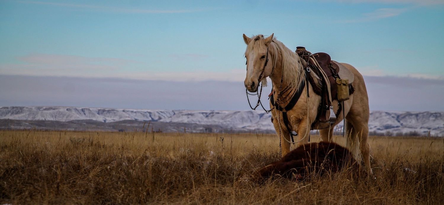 ranching