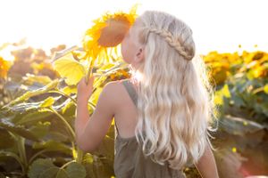 Sunset photos in a sunflower field with golden light filtering through the flowers.
