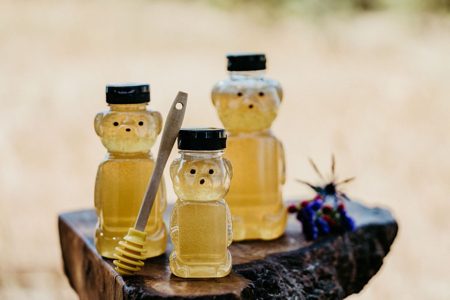 Three cute honey bear bottles with honey dippers displayed on rustic wood.
