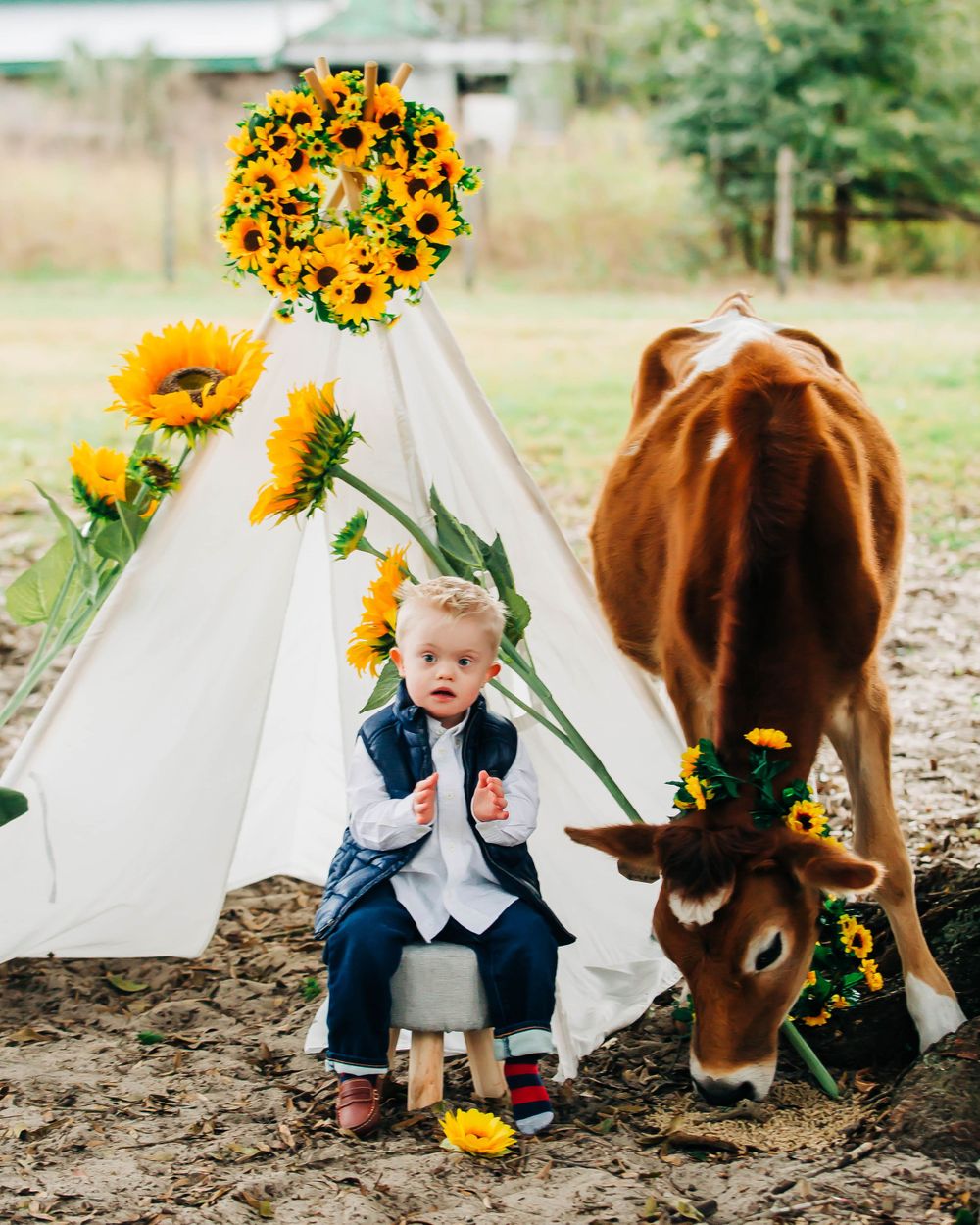 A rustic scene with a teepee decorated with sunflowers and a brown cow grazing nearby.