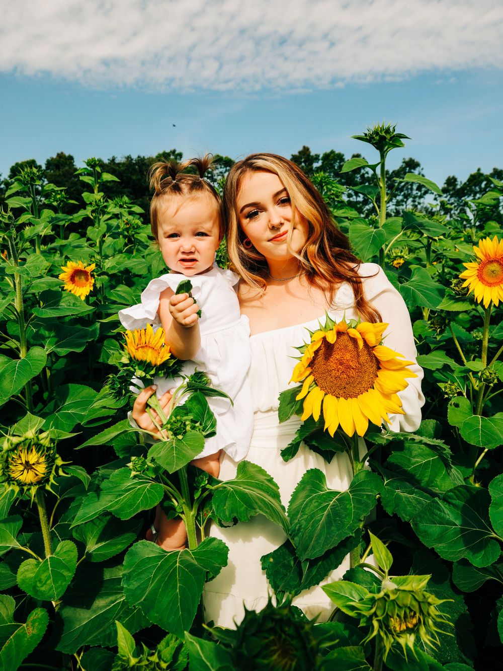 A bright and cheerful scene in a sunflower field on a sunny summer day.
