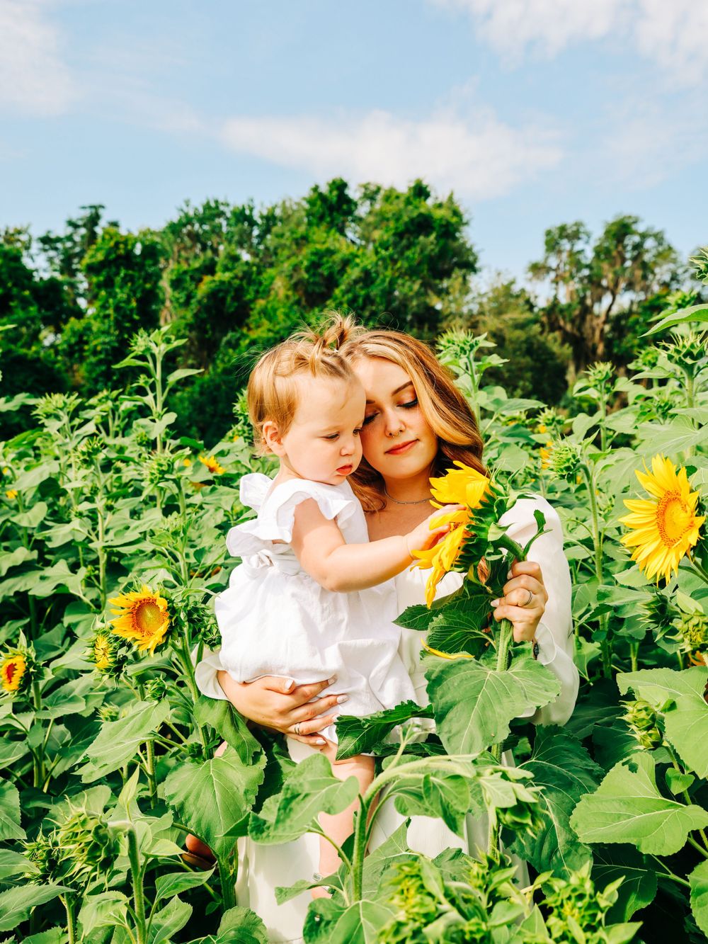 A tender moment captured in a vibrant sunflower field under blue summer skies.