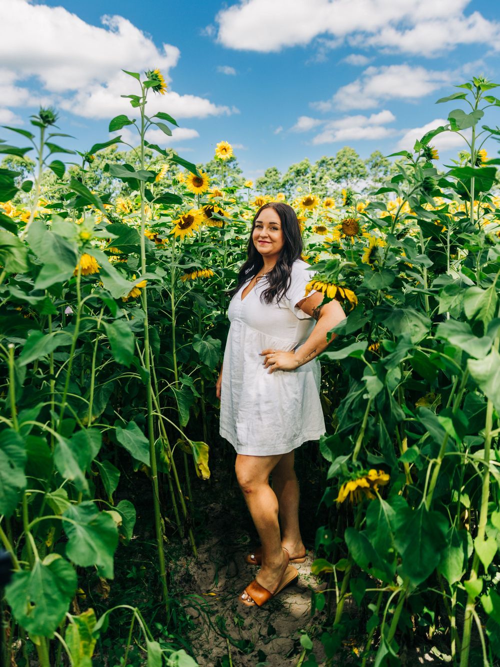 A summer portrait in a white dress amid tall sunflowers under blue skies.