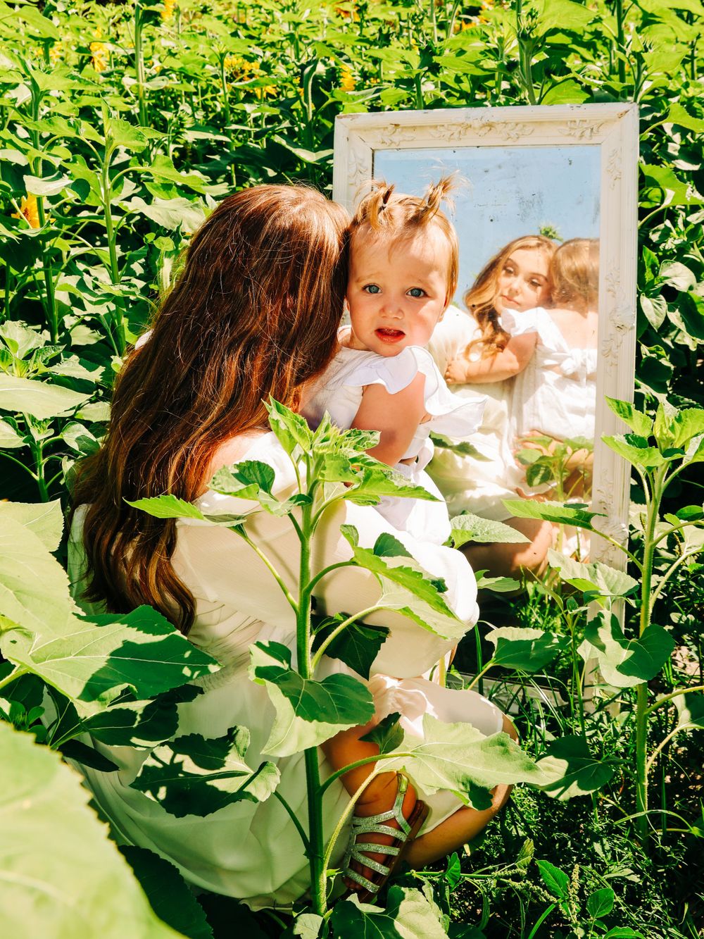 A creative mirror reflection photo setup among tall sunflower stalks in a garden.